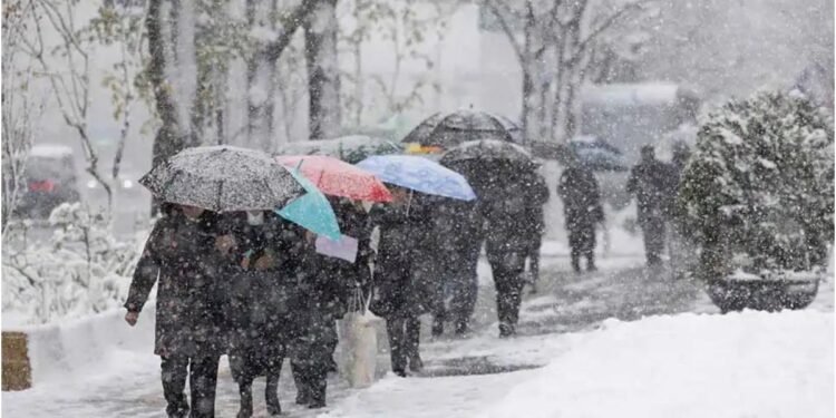 தென் கொரியாவை புரட்டிப் போட்ட பனிப்பொழிவு!