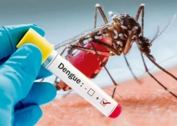 டெங்கு நோயாளர்களின் எண்ணிக்கை அதிகரிப்பு!